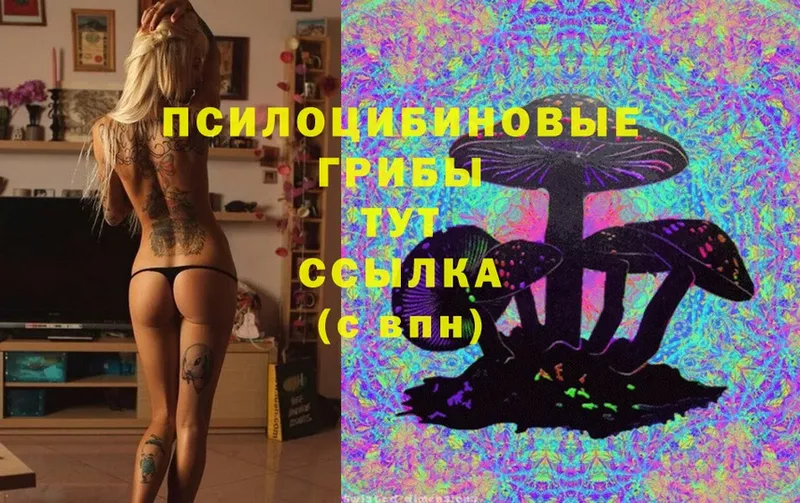 Псилоцибиновые грибы Cubensis  OMG зеркало  Набережные Челны 